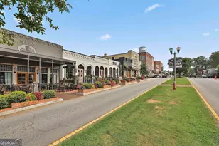 110 Autumn Creek, Senoia, GA 30276 - Photo 46