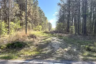 471 N Raburn Rd, Bremen, GA 30110 - Photo 1