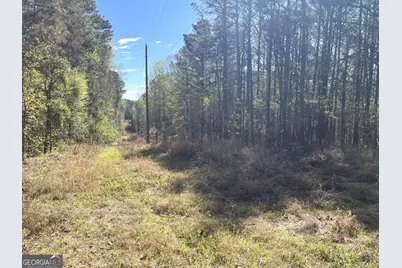471 N Raburn Road, Bremen, GA 30110 - Photo 2
