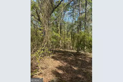 3950 Highway 57 NW, Gordon, GA 31031 - Photo 22
