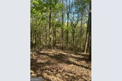 3950 Highway 57 NW, Gordon, GA 31031 - Photo 26