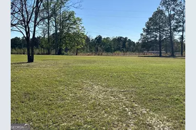 4645 Pleasant Plains Road, Harrison, GA 31035 - Photo 4