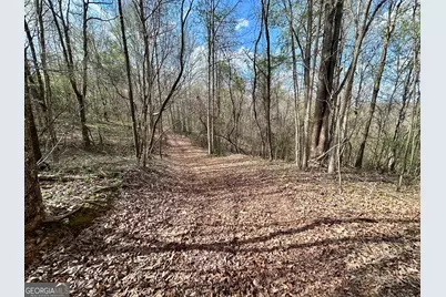 631 Jim Grizzle Road, Royston, GA 30662 - Photo 2