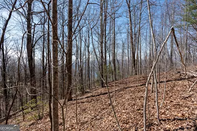 Lot 11 Rainwater Trail, Tiger, GA 30576 - Photo 40