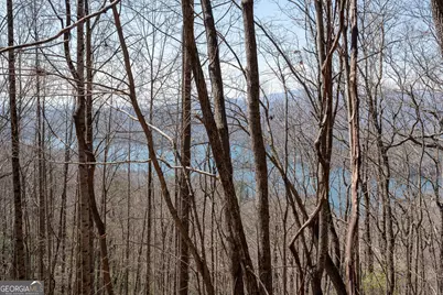 Lot 11 Rainwater Trail, Tiger, GA 30576 - Photo 34