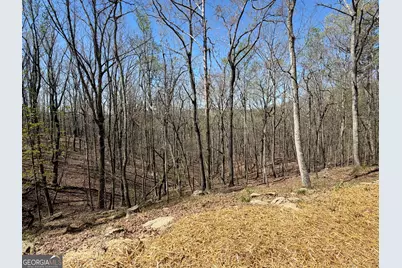 267 McClure Drive, Dallas, GA 30132 - Photo 48