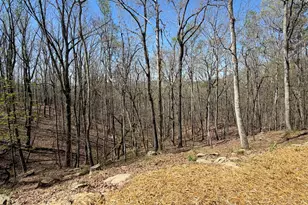 267 McClure Dr, Dallas, GA 30132 - Photo 48