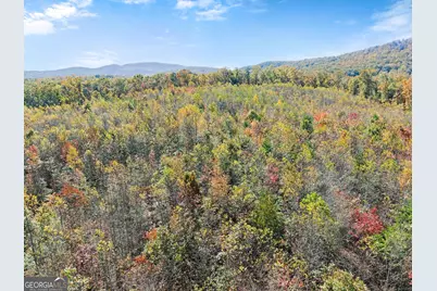 54 Totherow Road, Cleveland, GA 30528 - Photo 18