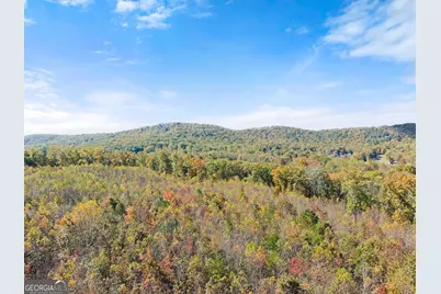 54 Totherow Road, Cleveland, GA 30528 - Photo 8