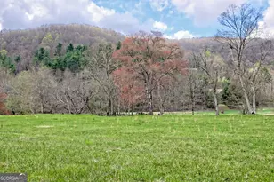 3556 Riverfront Ln, Hiawassee, GA 30546 - Photo 66