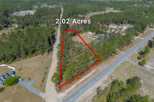 0 Hwy 110 (2 02 Acres) W, Hortense, GA 31543 - Photo 1