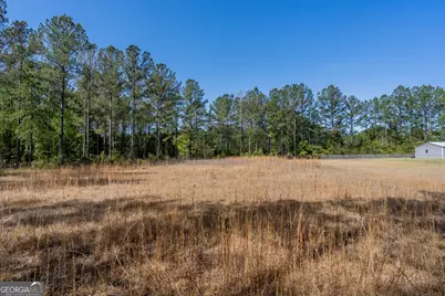 0 Highway 110 (2.02 Acres) W, Hortense, GA 31543 - Photo 10