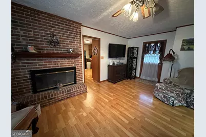 11306 Panhandle Road, Hampton, GA 30228 - Photo 8