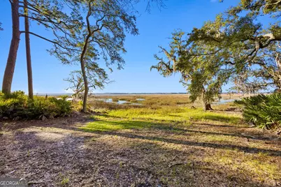 228 London Hill Road, Woodbine, GA 31569 - Photo 4