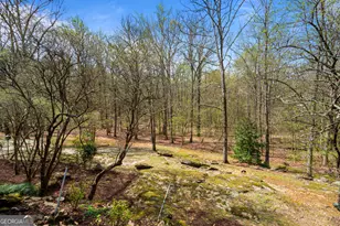 1116 Astoria Ln, Peachtree City, GA 30269 - Photo 66