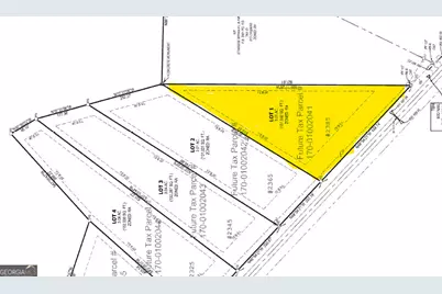 2385 New Hope Road #LOT 1, Locust Grove, GA 30248 - Photo 2