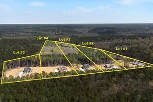 2365 New Hope Rd, Locust Grove, GA 30248 - Photo 58