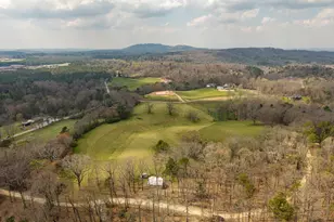 195 Wise Acres Rd, Ellijay, GA 30536 - Photo 40