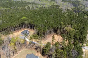 3921 Peeksville Rd, Locust Grove, GA 30248 - Photo 50