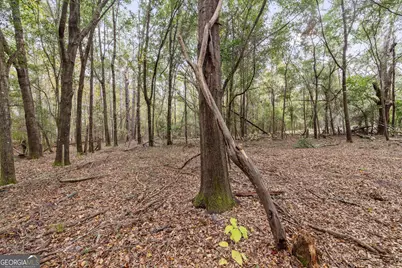 510 Sisters Ferry Road, Clyo, GA 31303 - Photo 12
