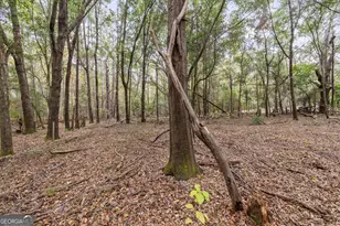 510 Sisters Ferry Rd, Clyo, GA 31303 - Photo 12