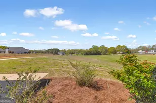 141 May Ln, Carnesville, GA 30521 - Photo 8