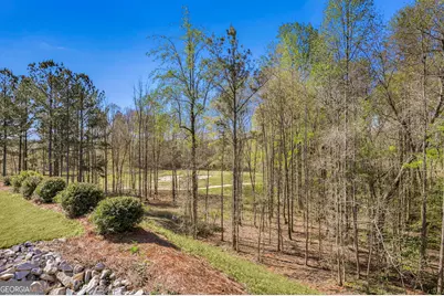 157 Chinkapin Court, Griffin, GA 30223 - Photo 34