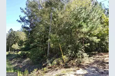 0 Glover Road, Harrison, GA 31035 - Photo 2