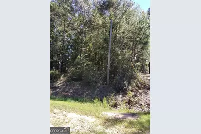 0 Glover Road, Harrison, GA 31035 - Photo 1