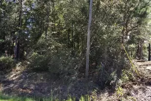 0 Glover Rd, Harrison, GA 31035 - Photo 1