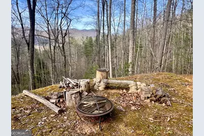 403 Barefoot Rise #49, Hiawassee, GA 30546 - Photo 30