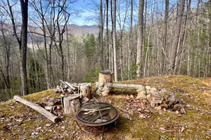 403 Barefoot Rise, Hiawassee, GA 30546 - Photo 30