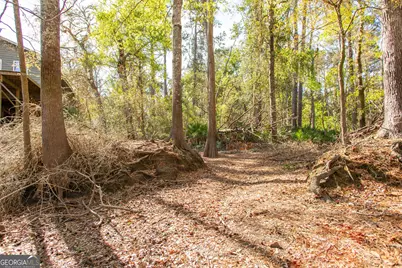 3670 Augusta Springs Drive, Waycross, GA 31503 - Photo 60