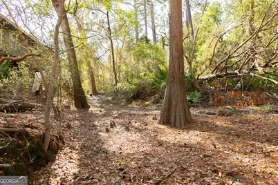 3670 Augusta Springs Drive, Waycross, GA 31503 - Photo 62