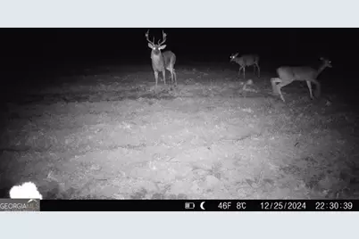 0 Sumner Road, Sumner, GA 31789 - Photo 14