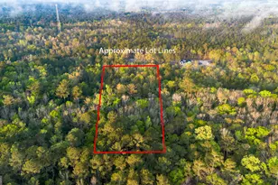 0 Little McCall Rd, Rincon, GA 31326 - Photo 1