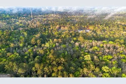 0 Little McCall Road, Rincon, GA 31326 - Photo 4