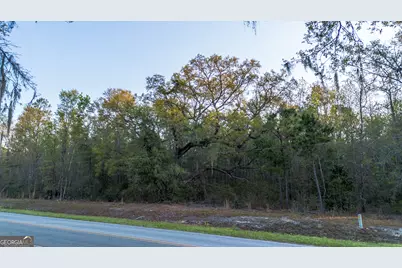0 Little McCall Road, Rincon, GA 31326 - Photo 10