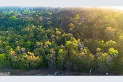 0 Little McCall Road, Rincon, GA 31326 - Photo 2