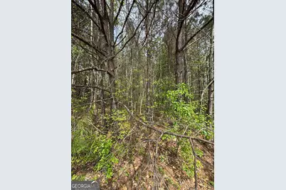 0 Highway 138, Jonesboro, GA 30236 - Photo 4