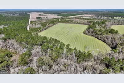 Tract 6 Ingram Road, Odum, GA 31555 - Photo 1