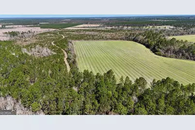 Tract 6 Ingram Road, Odum, GA 31555 - Photo 2