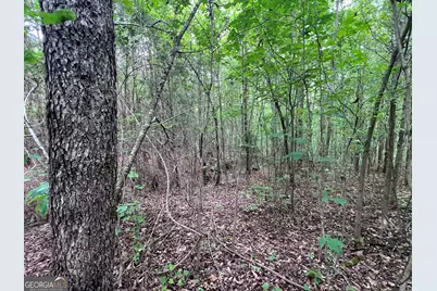 0 Bethlehem Church Road, Grantville, GA 30220 - Photo 14