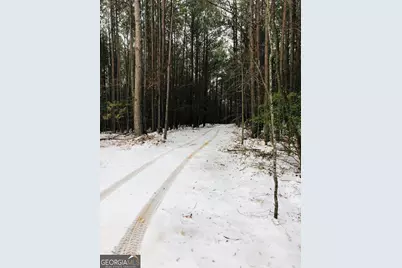 655 Holman Autry Road, Danielsville, GA 30633 - Photo 118