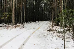 655 Holman-Autry Rd, Danielsville, GA 30633 - Photo 118