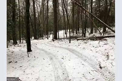 655 Holman Autry Road, Danielsville, GA 30633 - Photo 122