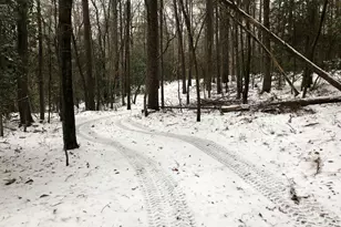 655 Holman-Autry Rd, Danielsville, GA 30633 - Photo 122