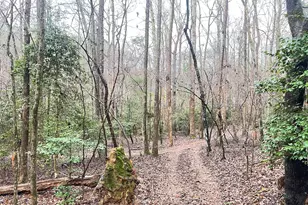 655 Holman-Autry Rd, Danielsville, GA 30633 - Photo 126