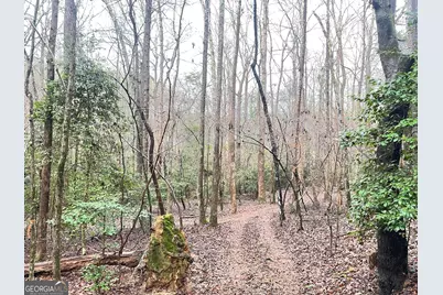 655 Holman Autry Road, Danielsville, GA 30633 - Photo 124