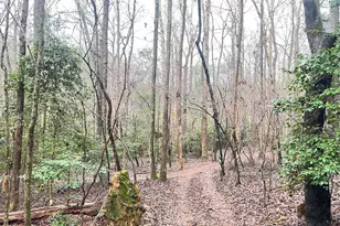 655 Holman-Autry Rd, Danielsville, GA 30633 - Photo 124